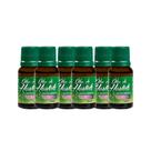 Kit com 6 - Óleo de Hortelã Menta Piperita BioSeiva 15mL - Óleo de menta