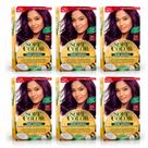 Kit com 6 tintura wella soft color 366 bordo profundo
