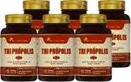 Kit Com 6 - Tri Própolis (Vermelha, Verde e Marrom) 60 Caps de 500mg Flora Nativa do Brasil
