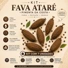 Kit com 7 Unidades Fava de Ataré Proteção Força Espiritual Uso Ritualístico Kit com 7 Unidades Fava de Ataré Proteção Força Espiritual Uso Ritualístico