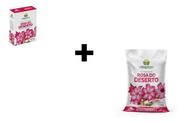 Kit Combo Rosa Do Deserto Terra Substrato + Fertilizante