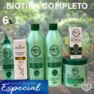 Kit completo 6x1 Biotina Maycrene com Shampoo Condicionador Mascara Queratina Líquida e Reparador de