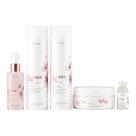 Kit Completo Brae Blonde Oil By Ana Paula Siebert