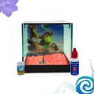 Kit Completo Cloro Ração e Aquario Beteira Quadrado Para Beta Personagens Moana