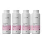 Kit Completo Cronograma Capilar Lamine 4x500ML