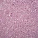 Kit Completo Papel de Parede Líquido - Diversas Cores/Unidade 5m² + Desempenadeira PPL:PINK Kit Completo Papel de Parede Líquido - Diversas Cores/Unidade 5m² + Desempenadeira PPL:PINK
