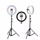 Kit Completo Ring Light C/ Tripé Dimmer Youtuber Selfie Pro Kit Completo Ring Light C/ Tripé Dimmer Youtuber Selfie Pro