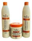 Kit Completo Tratamento Tutano de Boi + D-Pantenol e Queratina Maycrene (Blindagem para Cabelos Frac