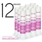 KIT Condicionador Begonia Gold Hialurônico 400ml 12 Unds KIT Condicionador Begonia Gold Hialurônico 400ml 12 Unds