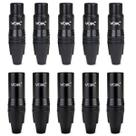 Kit Conector Canon Plug Xlr Macho + Fêmea Pvk-pt Voik 30 Pçs