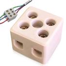 Kit Conectores Porcelana Bipolar 10mm Bivolt P/ Chuveiro Construção e Acabamentos