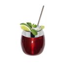 Kit Copo 650ml Coco Alumínio + Canudo Inox Drinks Gastrobel Vermelho Kit Copo 650ml Coco Alumínio + Canudo Inox Drinks Gastrobel Vermelho