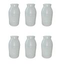 Kit copo reposição plastico coletor de amostra de leite 6UN