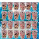Kit Copos Moana 320ml Lembrancinha Festa Infantil Sacola Surpresa Aniversário Colecionável