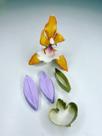 Kit Cortador E Frisador Molde silicone Orquídea Bailarina
