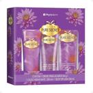 Kit Creme Mãos, Loção Hidratante e Body Splash Phytoderm Pure Secret 60g+200ml+200ml