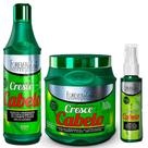 Kit Cresce Cabelo Shampoo, Mascara e Tonico Forever Liss Kit Cresce Cabelo Shampoo, Mascara e Tonico Forever Liss