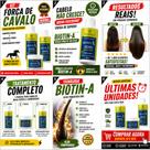 Kit Crescimento Capilar Biotin-A Força de Cavalo Linda E Bella Shampoo + Máscara + Condicionador