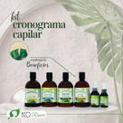 Kit Cronograma Capilar Tratamento Multifuncional Kit Cronograma Capilar Tratamento Multifuncional