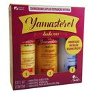 Kit Cronograma Capilar YAMASTEROL Reparação Intensa 3 Unidades 200ml Cada