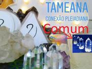 Kit de 10 Cristais para Curso de Tameana - Terapia Vibracional - Qualidade Comum - Atacado