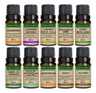 Kit De 10 Óleos Essenciais Várias Fragrâncias Hoje Em Oferta