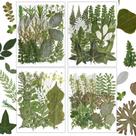 Kit de 100 unidades de resinas de flores secas prensadas com folhas verdes