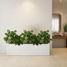 Kit de 3 Mini Árvores Artificiais Ficus Lyrata Silicone Toque Real 85cm Plantas Decorativas Luxo 60 Folhas