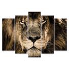 Kit de 5 Quadros Mosaicos Decorativos Leão Kit de 5 Quadros Mosaicos Decorativos Leão