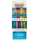Kit de Agulhas de Crochê Looney Tunes