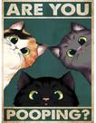 Kit de artesanato artístico GKOKG Diamond Painting Cats 30x40cm Kit de artesanato artístico GKOKG Diamond Painting Cats 30x40cm