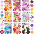Kit de artesanato em resina xinxinran de flores secas prensadas 190 unidades