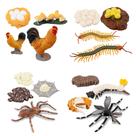 Kit de brinquedos para estatuetas de animais Toymany Life Cycle of Chicken Hen