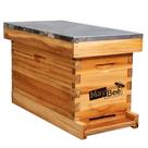 Kit de Caixa Nuc de 5 Quadros MayBee para Colmeia com Revestimento de Cera