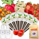 Kit de Cápsulas de Sementes apoloseedic Morango Vermelho Pineberry 7 Cápsulas