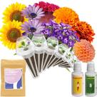 Kit de Cápsulas de Sementes de Flores inbloom com 7 Cápsulas e mais de 350 Sementes