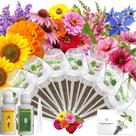 Kit de Cápsulas de Sementes de Flores LYKOCLEAN Hidropônico com 8 Variedades Kit de Cápsulas de Sementes de Flores LYKOCLEAN Hidropônico com 8 Variedades