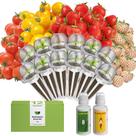 Kit de Cápsulas de Sementes de Frutas inbloom para Horta Hidropônica com 12 Cápsulas