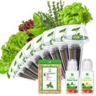 Kit de Cápsulas de Sementes Gourmet de Ervas e Saladas, 8 Cápsulas (inclui sementes de manjericão, hortelã, tomilho, alface romana, alface manteiga, alface crespa vermelha e verde) compatível com todos os sistemas hidropônicos