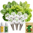 Kit de Cápsulas de Sementes inbloom 7 Variedades de Folhas para Salada 350 Sementes