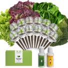 Kit de Cápsulas de Sementes inbloom com 12 Cápsulas de Sementes de Alface Hidropônica