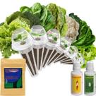 Kit de Cápsulas de Sementes inbloom Folhas para Salada 7 Cápsulas Hidropônicas