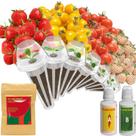 Kit de Cápsulas de Sementes inbloom Hidropônico com 7 Cápsulas de Morango e Tomate