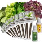 Kit de Cápsulas de Sementes inbloom para Hidroponia com 7 Cápsulas de Alface