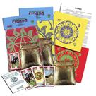 Kit de Cartas Ciganas Lenormand 36 Cartas Toalha e Bolsa