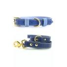 Kit de Coleira de Couro e Guia de Couro para Cachorro Azul Royal