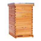 Kit de Colmeia BEEKNOWS Langstroth 10 Quadros com Revestimento de Cera