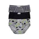 Kit de Cuecas Slip Infantil Algodão 3 Peças Malwee Liberta