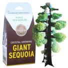 Kit de cultivo de cristais Copernicus Toys Giant Sequoia Kit de cultivo de cristais Copernicus Toys Giant Sequoia