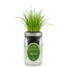 Kit de cultivo hidropônico de cebolinha Environet para cultivo interno Kit de cultivo hidropônico de cebolinha Environet para cultivo interno